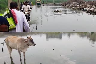 water logging in mukundpur surat vihar