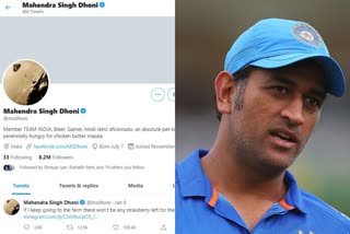 Twitter Restores Blue Tick On MS Dhoni's Account  Twitter Blue Tick On MS Dhoni's Account  MS Dhoni Twitter  ധോണിയുടെ ട്വിറ്റർ അക്കൗണ്ടിലെ ബ്ലൂ ടിക്ക് പുനസ്ഥാപിച്ചു  ധോണി  ധോണി ട്വിറ്റർ  Dhoni Twitter  മഹേന്ദ്ര സിങ് ധോണി