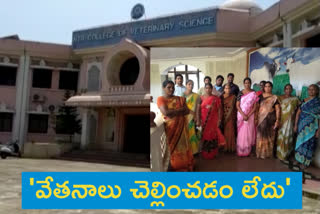 ntr veterinary college outsourcing employees