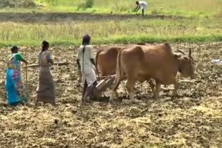 preparing-israeli-model-farming-in-the-kalaburagi-district