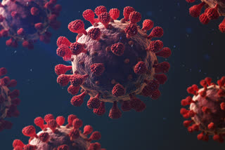 coronavirus