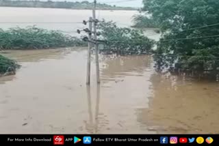 forty-villages-affected-due-to-flood-in-chambal-river-agra-news