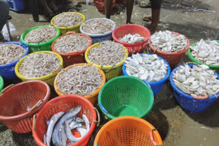 new-restrictions-for-chennai-kasimedu-fisherman
