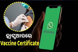 ଏଣିକି WhatsApp କଲେ ପାଇବେ ଟୀକାକରଣ ପ୍ରମାଣପତ୍ର