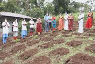 ഇടുക്കിയിലെ കാർഷിക മേഖല  ഇടുക്കിയിൽ കാർഷിക വൃത്തിയിലും കൈയ്യൊപ്പ്  കൊവിഡ് പ്രതിസന്ധി  കൊവിഡ് പ്രതിസന്ധി വാർത്ത  കാർഷിക വൃത്തിയിലും ആരോഗ്യ പ്രവർത്തകർ  Health workers on agricultural  agricultural farming news  idukki agricultural farming  health workers news idukki