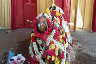 natham temple bull death funeral  death funeral  bull death funeral  temple bull death funeral  dindigul temple bull death funeral  dingigul news  dindigul latest news  திண்டுக்கல் செய்திகள்  திண்டுக்கல் நத்தம் கோயில் காளை உயிரிழப்பு  கோயில் காளை உயிரிழப்பு  கோயில் காளை  அஞ்சலி  பொதுமக்கள் அஞ்சலி  இறந்த கோயில் காளைக்கு பொதுமக்கள் அஞ்சலி