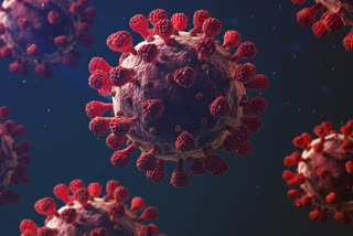 آندھرا پردیش: کورونا وائرس کے 2050 نئے متاثرین، 18 اموات