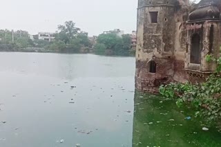 Shameshwar Talab Charkhi Dadri