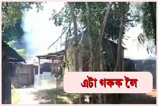 one person dead for a cow at nalbari