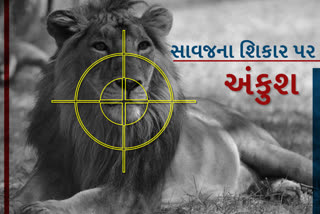 World Lion Day 2021