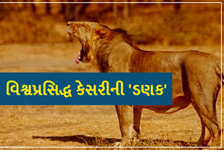 World Lion Day 2021