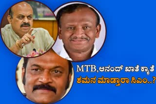 CM Basavaraj Bommai will tried to solve MTB and Anand singh problem