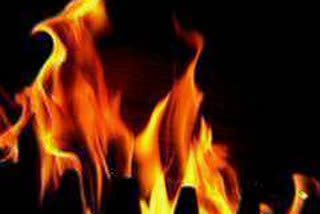 Woman's self-immolation attempt leads to furore in Maharashtra