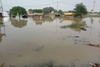 दानापुर की 7 पंचायतों में घुसा बाढ़ का पानी