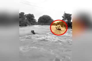 biker got washed away in the water while crossing the overflowing drain in Shivpuri