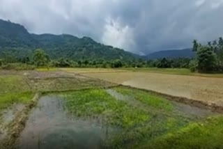 assam-meghalaya-border-conflict