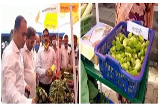 Awareness for legumes from the Department of Agriculture bhiwandi