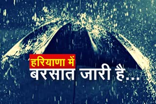 haryana rain alert weather update heavy rain