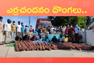 ఎర్రచందనం స్మగ్లర్ల అరెస్ట్