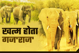 World elephant day