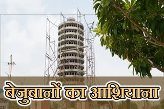 चूरू में पक्षियों के लिए फ्लैट, Bird Flats in Churu