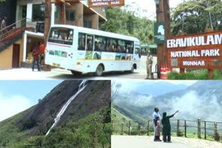 Eravikulam national park  Eravikulam national park reopen  ഇരവികുളം ദേശിയോദ്യാനം]  മൂന്നാർ  കൊവിഡ് മാനദണ്ഡം  Tourist  കേരള ടൂറിസം