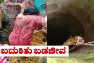 woman rescued in wayanad who fell in to 50 feet well