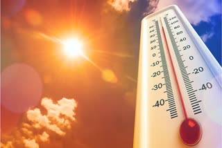 haryana-weather-update-heat-strike