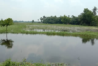 Flood Situation in Hooghlys Bighati Gram Panchayet Due to Illegal Construction on Cannel