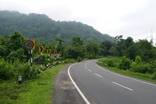 Kaziranga elevated corridor