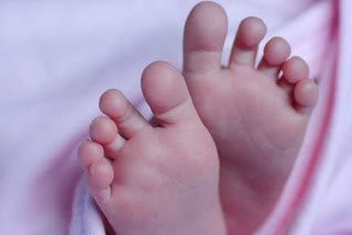 14 days baby died in hospital at eluru