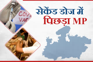 madhya-pradesh-goverment-action-taken-report