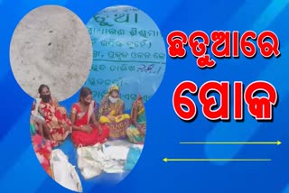 ପୋକରା ଛତୁଆ ପାଇଁ ସିଡିପିଓ ଅଫିସ ଘେରିଲେ ମହିଳା