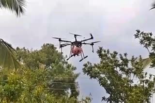 Insecticide spraying for crop by drone