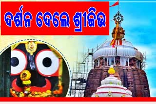 ଖୋଲିଲା ଶ୍ରୀମନ୍ଦିର, ଭକ୍ତ ନୁହଁ ସେବାୟତ କରିବେ ଦର୍ଶନ