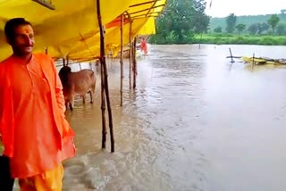 Flood water entered the courtyard of Badhaura Shiva temple