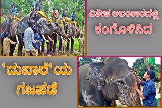 World Elephant day celebration in Kodagu district Dubare