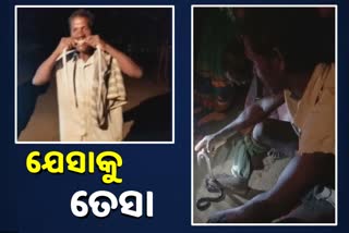 ସର୍ପ ଦଂଶନ ପରେ ଚଢିଲା ରାଗ, ସାପକୁ କାମୁଡି କଲେ ରକ୍ତାକ୍ତ