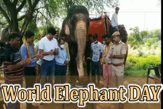 World Elephant Day, विश्व हाथी दिवस