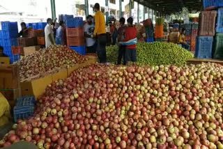 kullu Early variety apples news, कुल्लू अर्ली वैरायटी सेब न्यूज