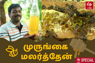 முருங்கை மலர்த் தேன் உற்பத்தி