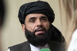 افغانستان حکومت سے اقتدار میں شراکتداری کی کوئی تجویز موصول نہیں: طالبان