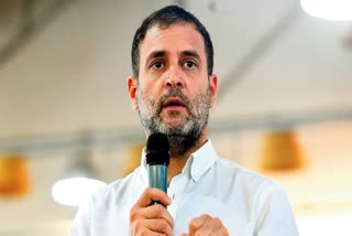 twitter  Rahul Gandhi  Rahul Gandhi's twitter account  ട്വിറ്റർ  രാഹുൽ ഗാന്ധി  ട്വിറ്റർ ഇന്ത്യൻ രാഷ്ട്രീയത്തിൽ  ട്വിറ്ററിന് വിമർശനം  rahul gandhi against twitter