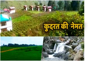 Uttarakhand Tourist Places