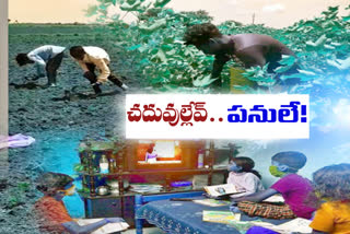 ONLINE CLASSES: ఆన్‌లైన్‌ బాట వీడి పొలం బాట పడుతున్న విద్యార్థులు