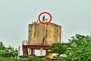 man jumped from 60 feet water tank