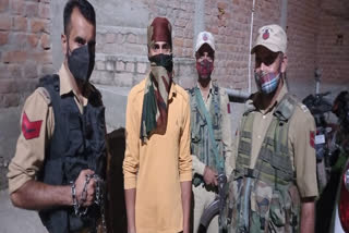 Hizbul Mujahideen