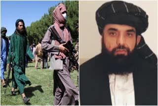 Taliban appreciates India's capacity building efforts in Afghanistan, cautions on any military role