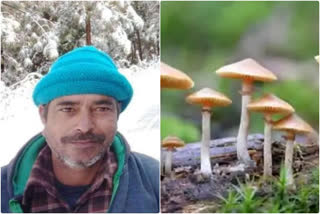 Tehri Wild Mushroom