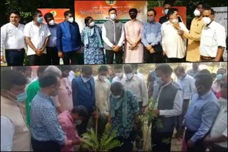 BBMP will plant 5 thousand saplings